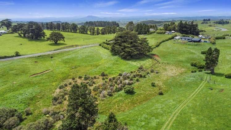 2803 State Highway 31, Kawhia Road Otorohanga_20