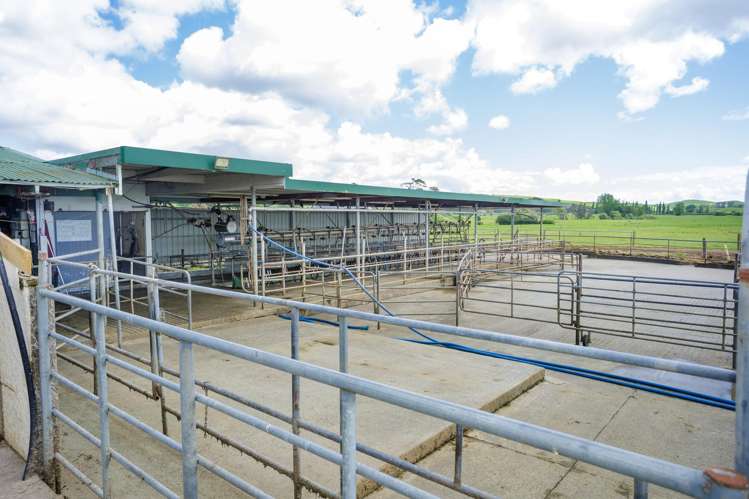 104 Pioneer Road Tahuna_16