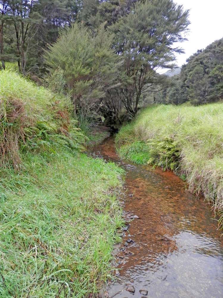 698 Whananaki South Road Whananaki_19