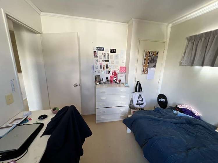 18a Hudson Street Ellerslie_9