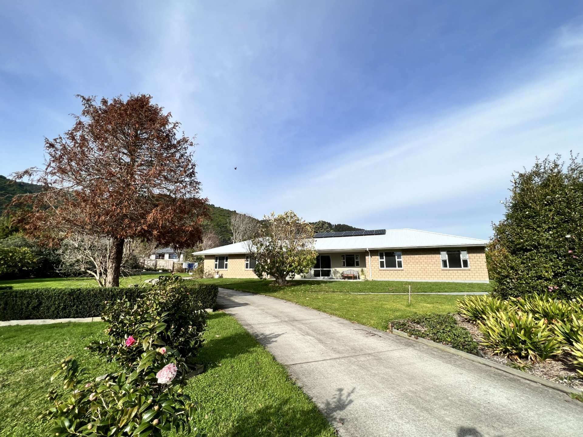 7 Seddon Street 1366_0