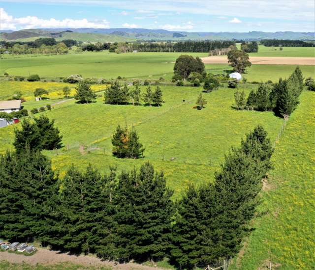 74 Ormond Road Woodville_2