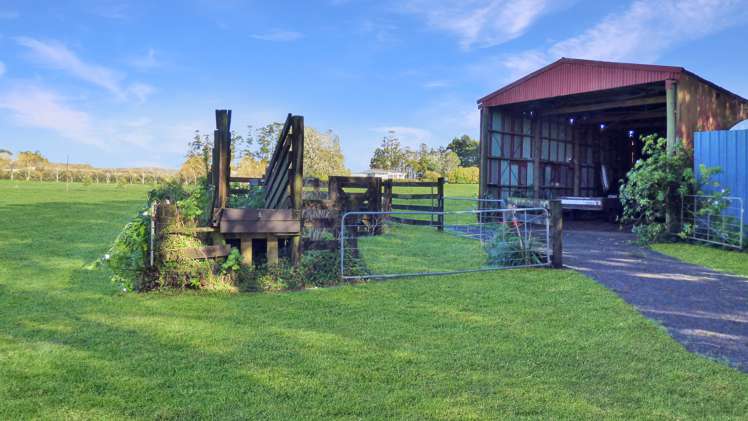 147 Sandys Road Kerikeri Surrounds_16