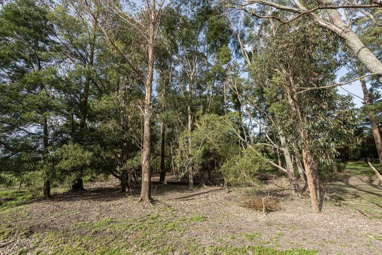 307 Whananaki North Road Opuawhanga_32