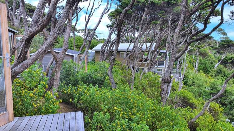 Lot 171/DP6849 North Cove Kawau Island_30