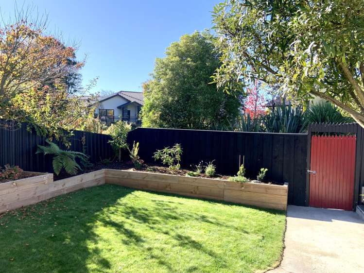  40 Browning Street Sydenham_8