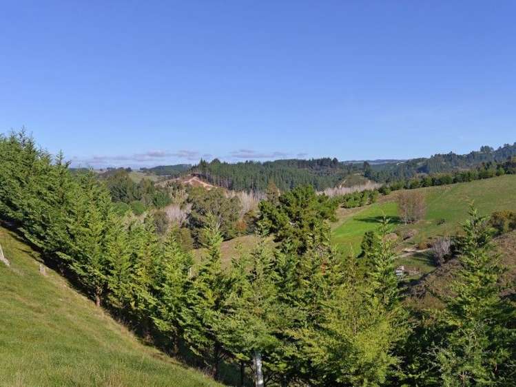 40 Lloyd Valley Road Thorpe_11