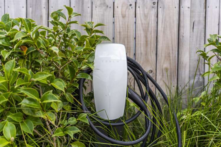 5 Bernard Street Avenues_4