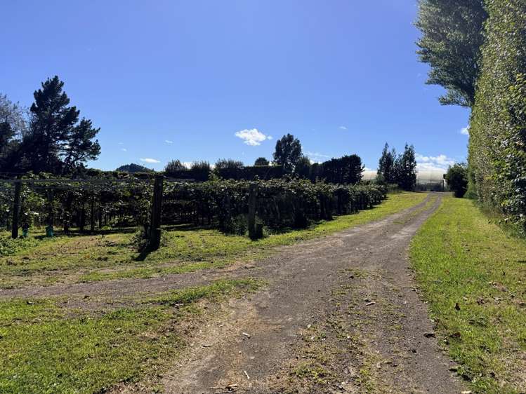 1164 No 3 Road Te Puke_31