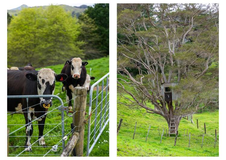 71 Mangotahi Road Thames_14