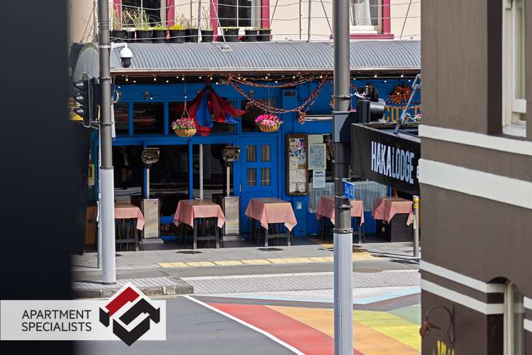 40 Boardman Lane Auckland Central_6