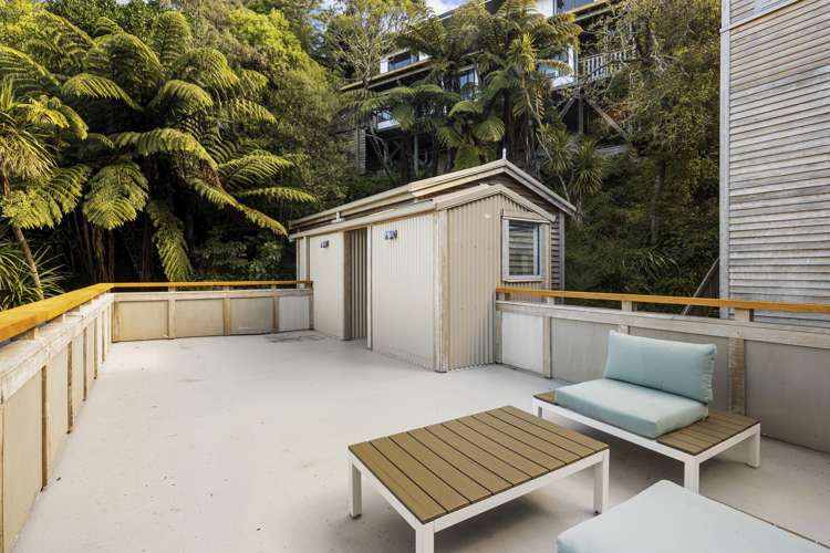 26b Koromiko Road Aro Valley_9