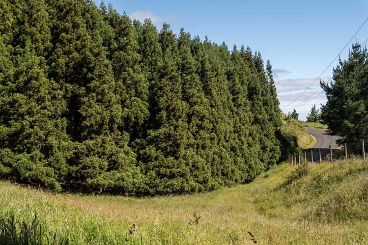 324a Rowe Road Ohauiti_15