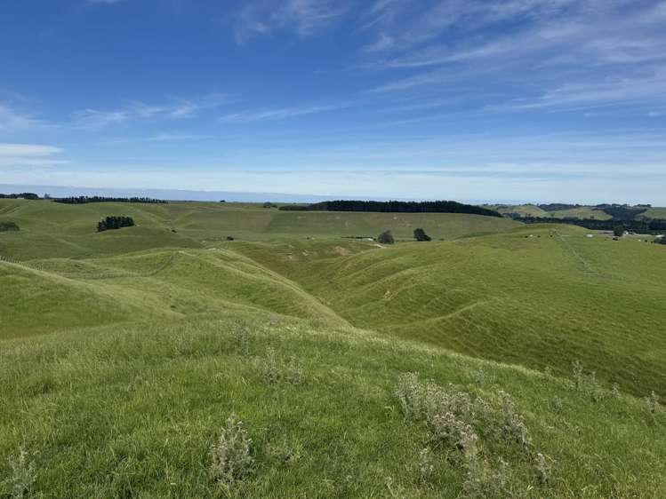 302 Bruce Road Turakina_15