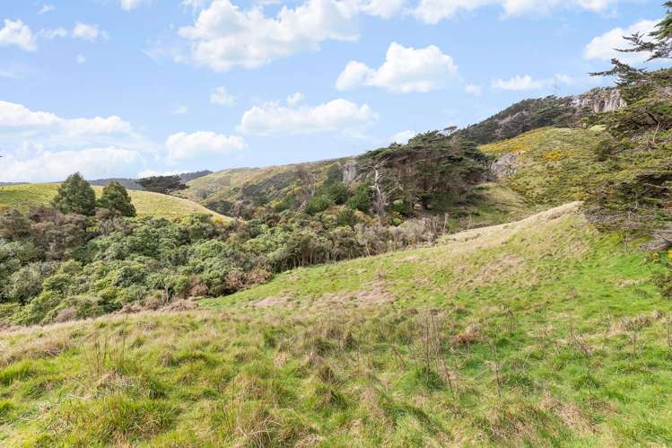 474C Makara Road Makara_10