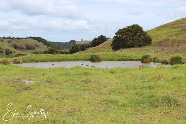 215c Heatley Road Whakapirau_17