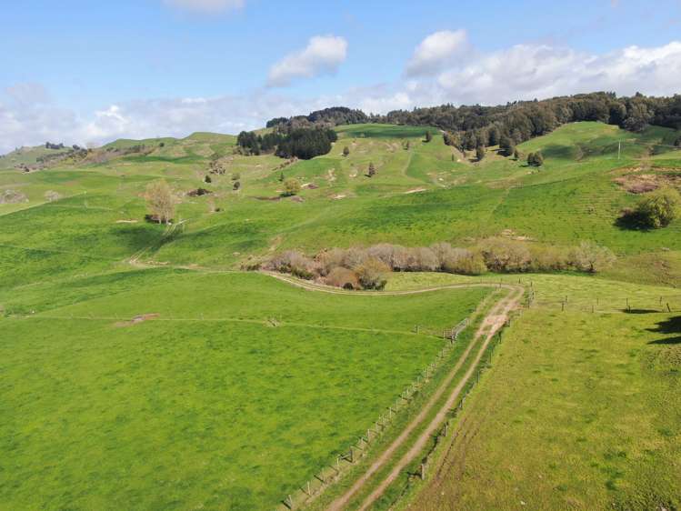 406 Aria Road Piopio_2