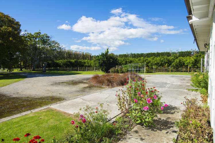 75 Brown Road Ormond_7