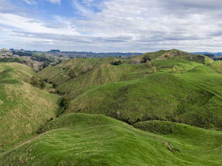 133 Mania Road Rangiwahia_5