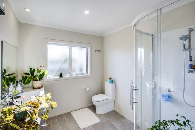 800 Albert Street Parkvale_9