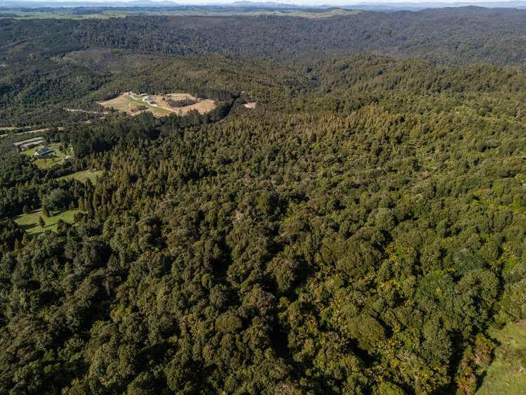 Lot Lot 2/2262 Waiare Road Kaeo_20