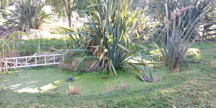 30 South Featherston Road Featherston_5