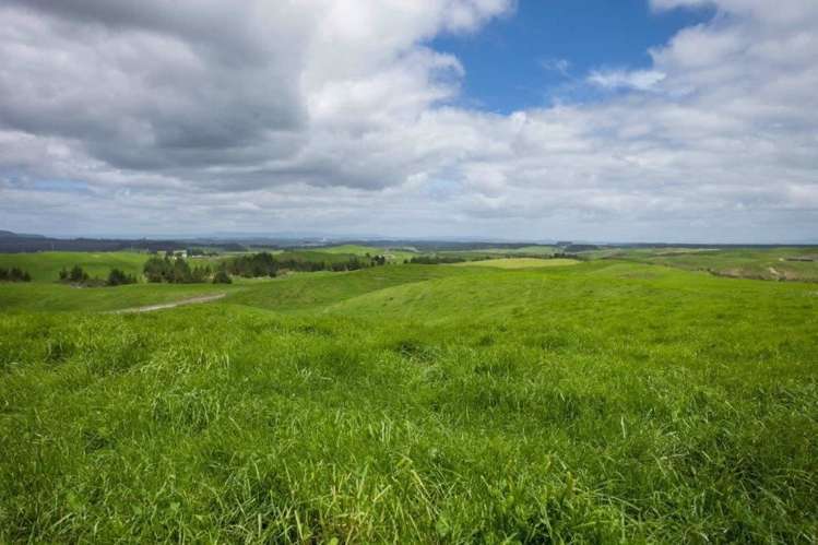 1308 Mossop Road Kinleith_19