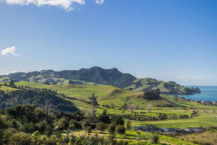 156 Centennial Drive Whitianga_25