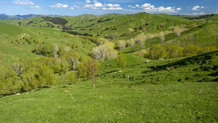 851 Clifton Grove Road Gladstone_14