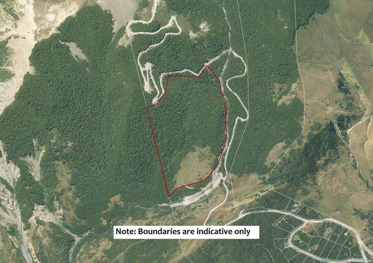 101 Mount Lyford Forest Drive Lyford_6