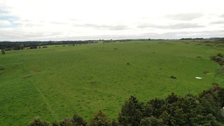 194 Toia Road Okaihau_18