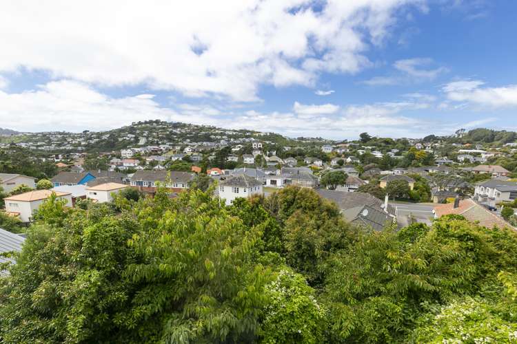 20 Fisher Street Johnsonville_13