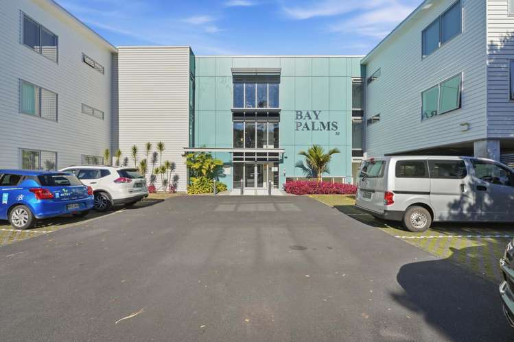 B12/30 Bute Road Browns Bay_16