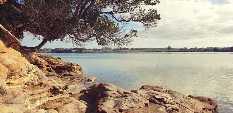 35 Mclarin Road Glenbrook_15