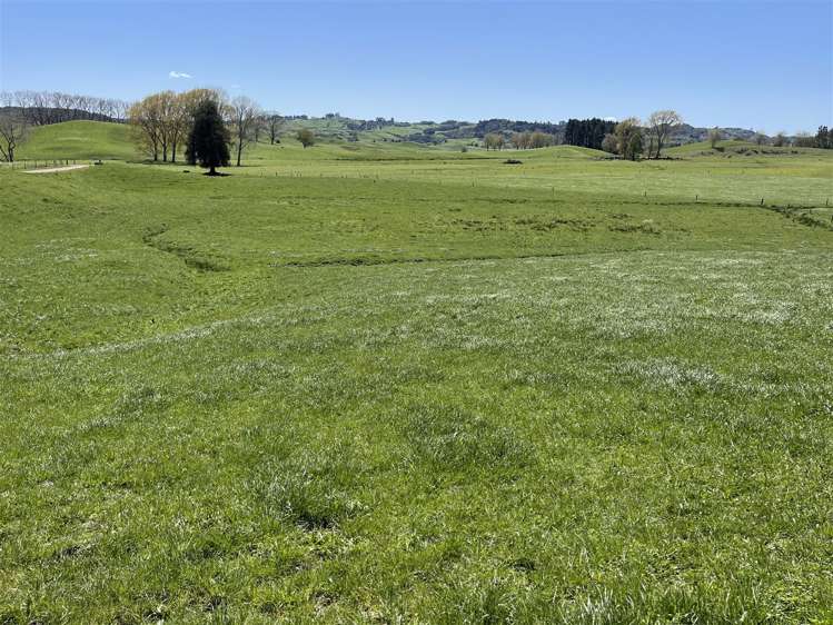 135 Whataroa Road Te Kuiti_26