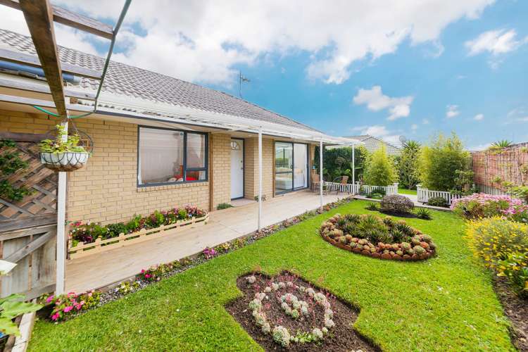 17 Robin Brooke Drive Flat Bush_11