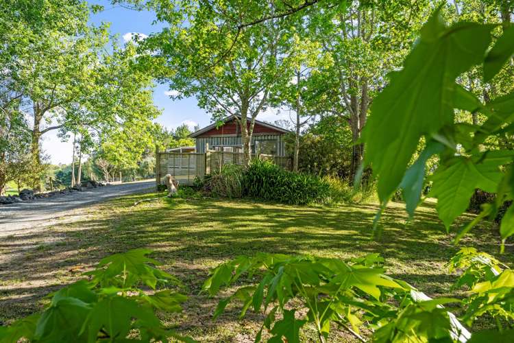321 Hepburn Creek Road_1