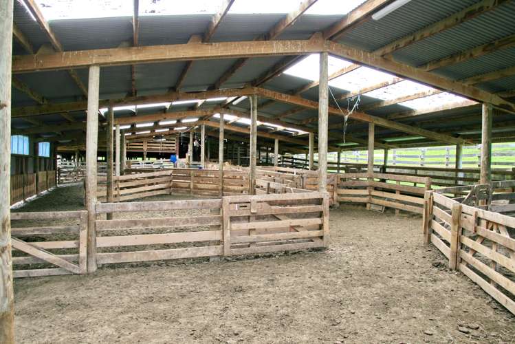 1756 Rawhitiroa Road Eltham_10