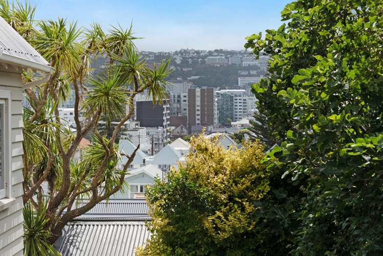 111 Elizabeth Street Mount Victoria_15