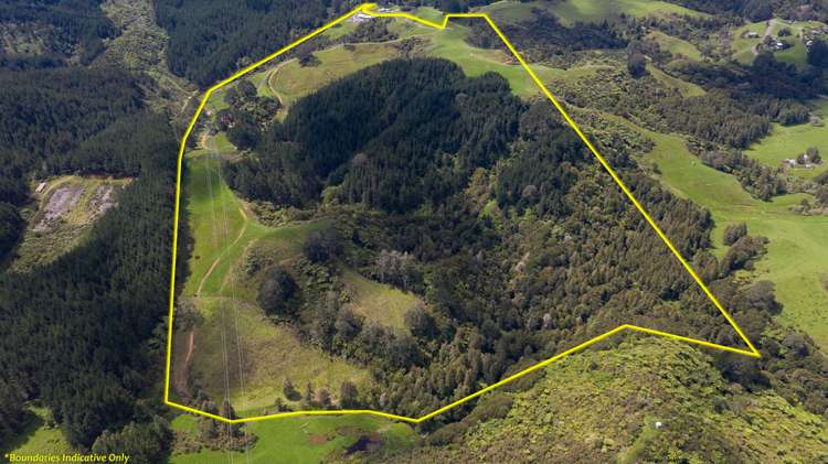 599 Te Puroa Road Ngaruawahia_25