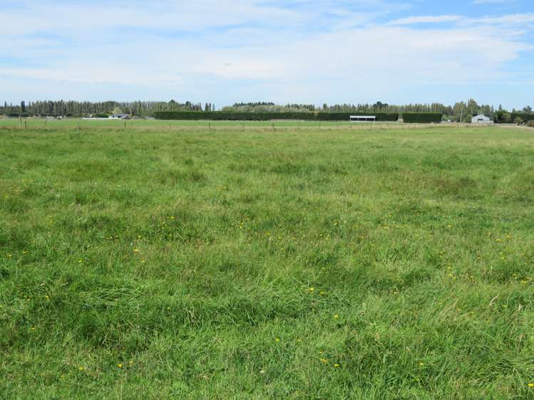 552 Methven Highway Winchmore_23