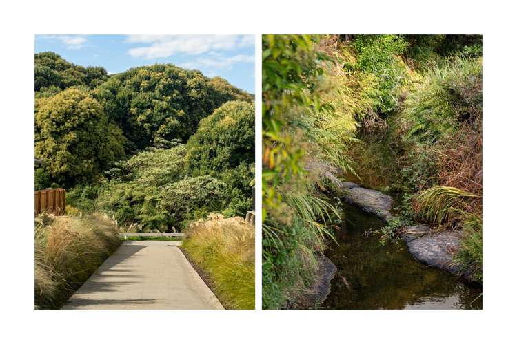 181 Adler Drive Ohauiti_15