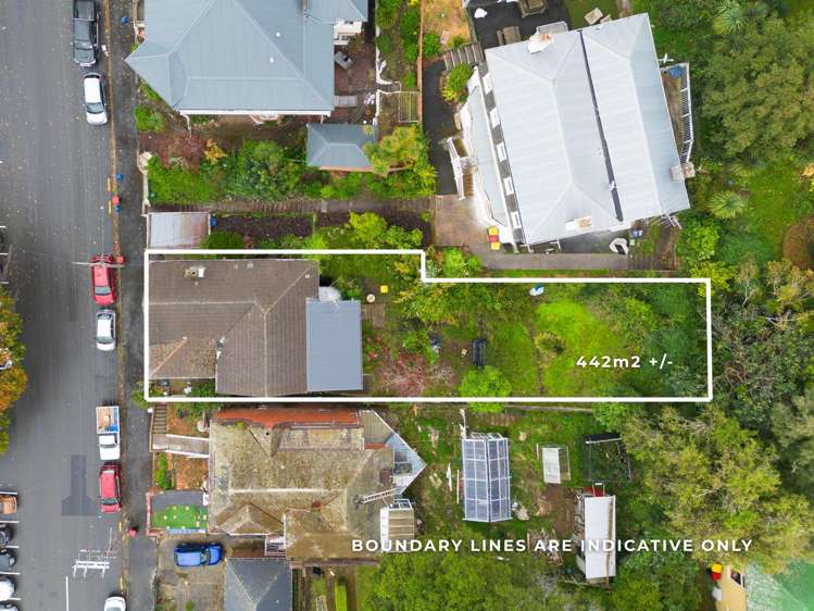 8 Elder Street Dunedin Central_6