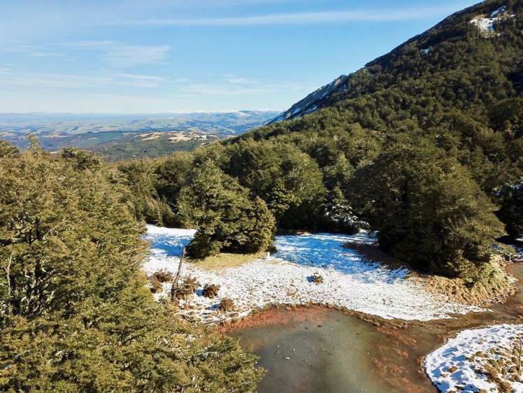 100 Mount Lyford Forest Drive Lyford_10