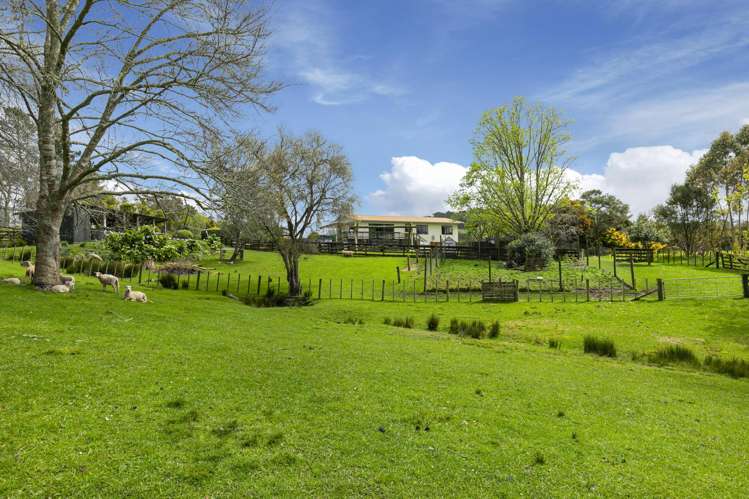 1187 Peak Road Helensville_23