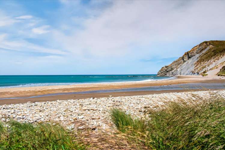 453 Whangaehu Road Porangahau_16