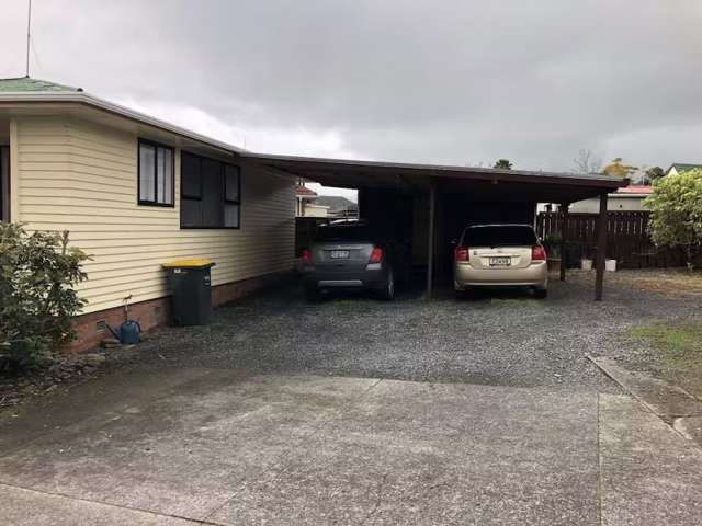 20 Vodanovich Road Te Atatu South_4