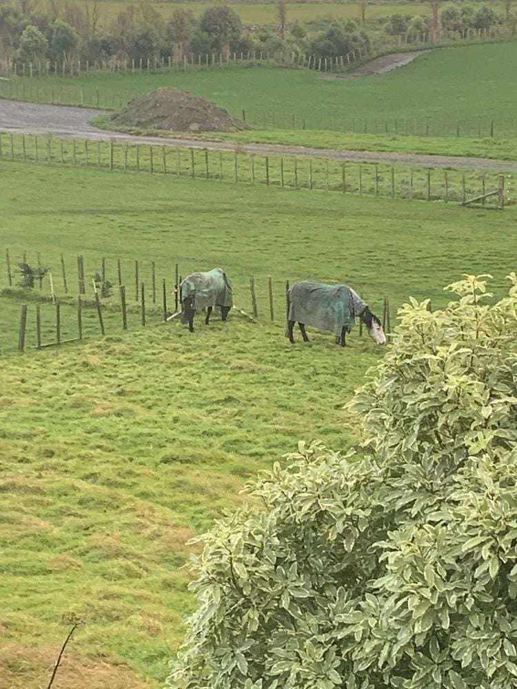 Address withheld Sanson_23