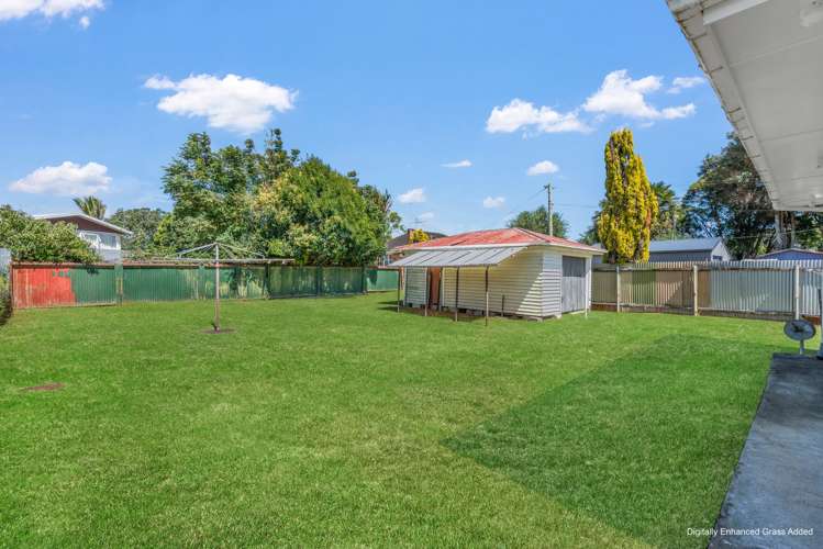 Birdwood Road Pukekohe_20