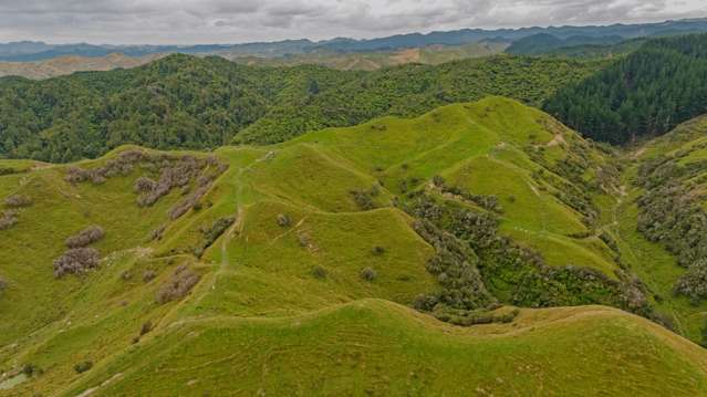 240 Agnews Road Hunterville_4